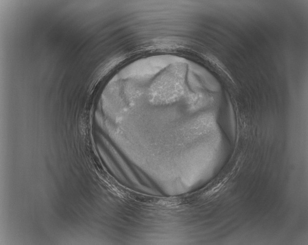 X0000052930874200507292349