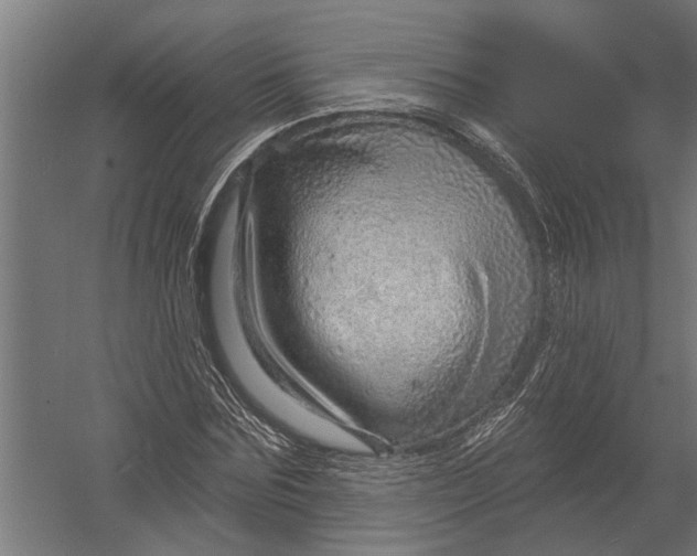 X0000052930875200507292349