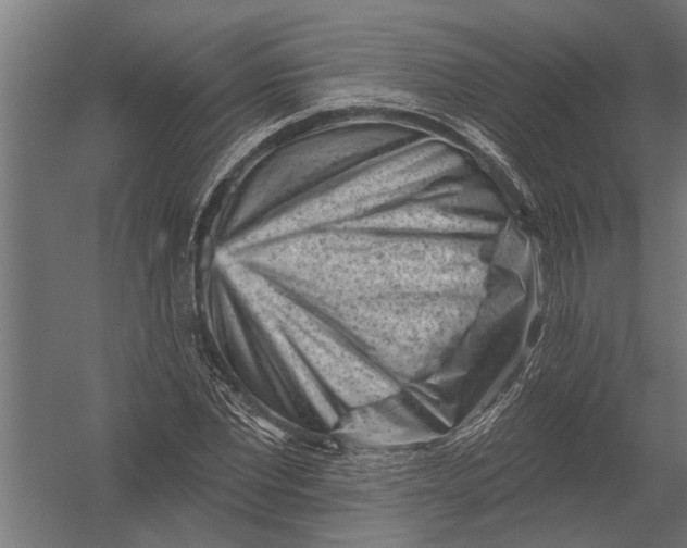 X0000052930877200507292349