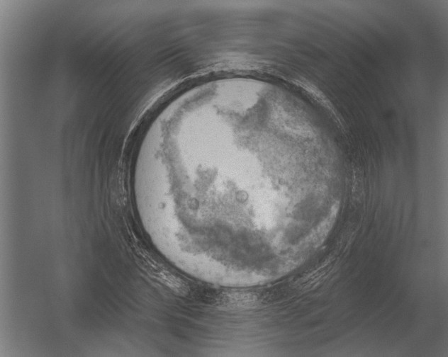 X0000052930878200507292349