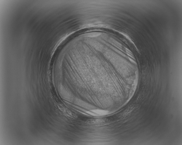 X0000052930879200507292349