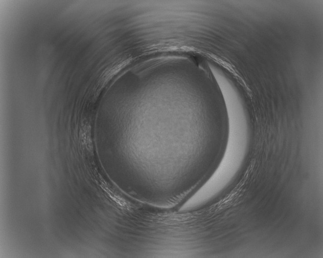 X0000052930881200507292349