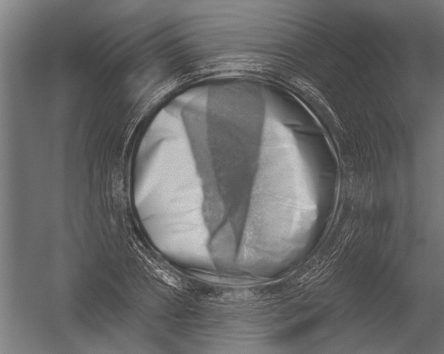 X0000052930882200507292349