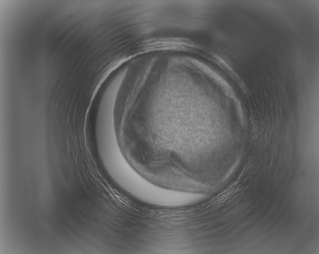 X0000052930883200507292349