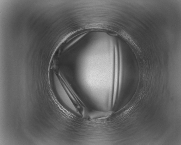 X0000052930884200507292349