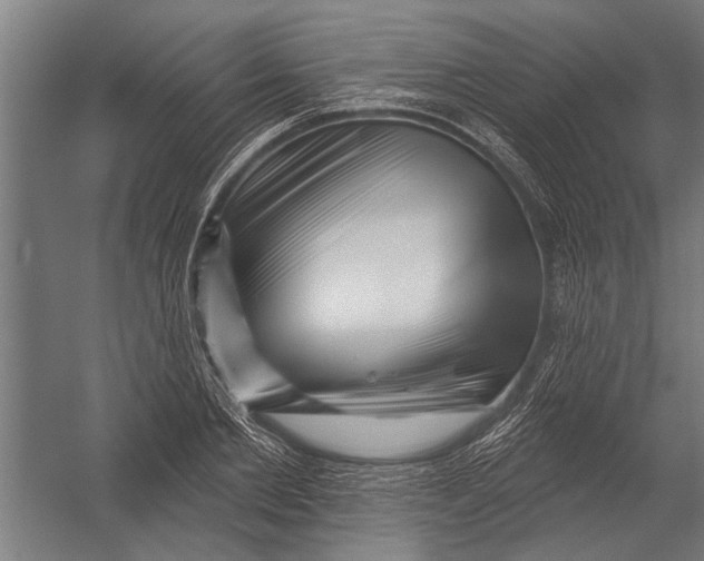 X0000052930885200507292349