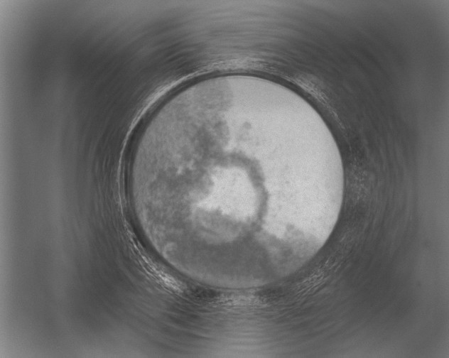 X0000052930886200507292349