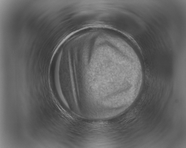 X0000052930887200507292349