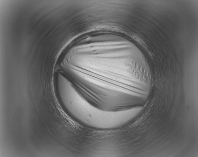 X0000052930888200507292349