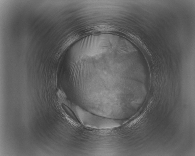 X0000052930889200507292349