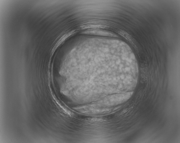 X0000052930890200507292349