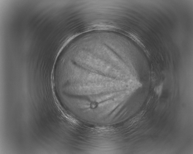 X0000052930891200507292349