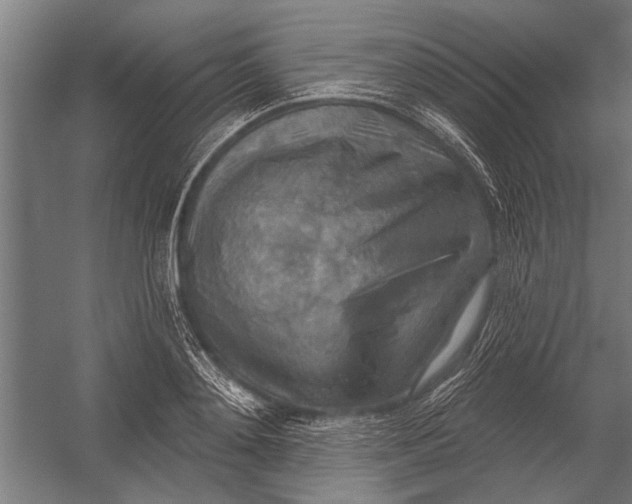 X0000052930892200507292349