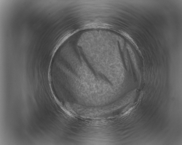 X0000052930893200507292349