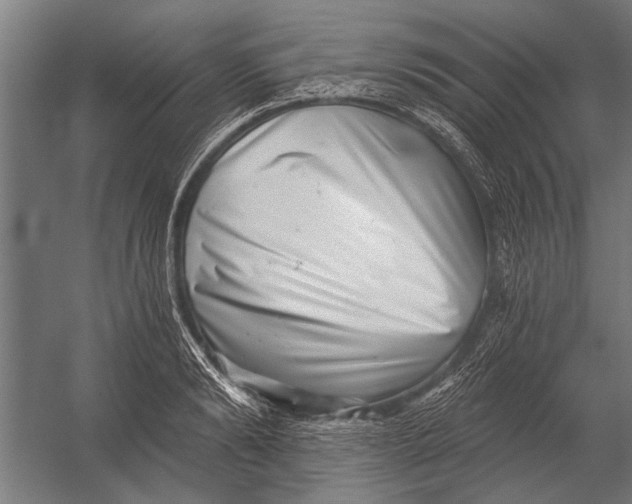 X0000052930894200507292349