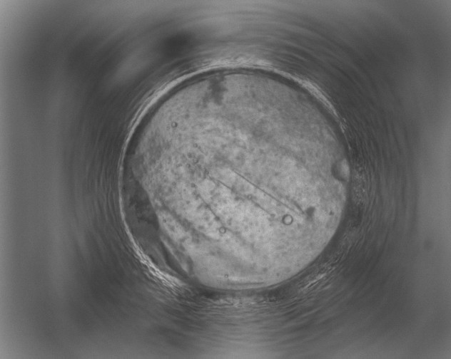 X0000052930895200507292349