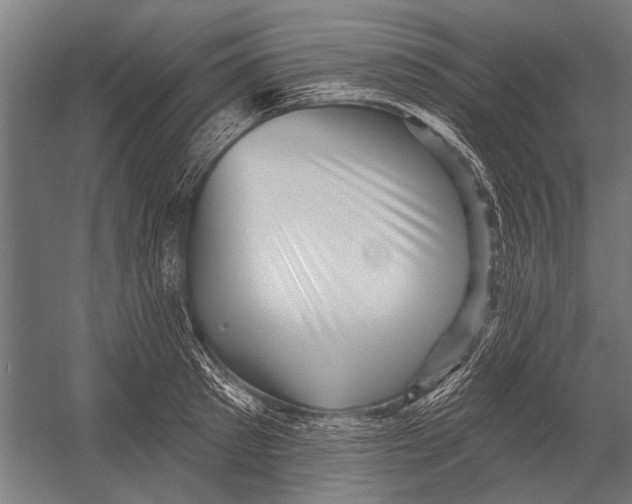 X0000052930897200507292349