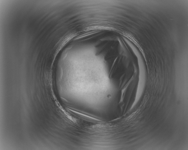 X0000052930898200507292349