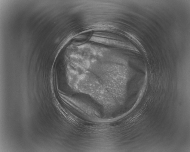 X0000052930899200507292349