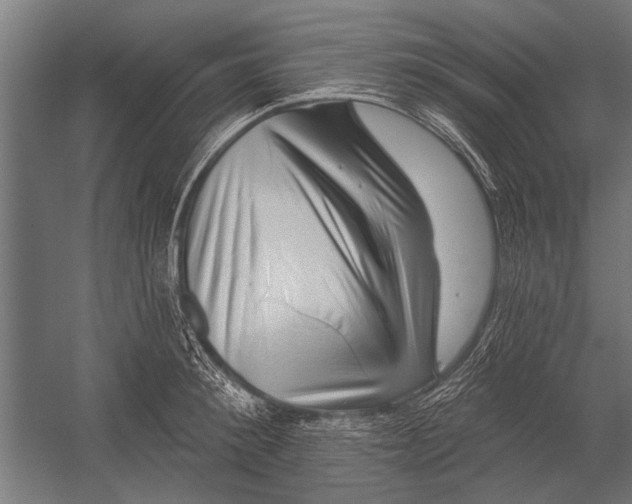 X0000052930900200507292349