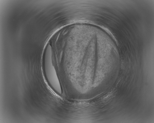 X0000052930903200507292349