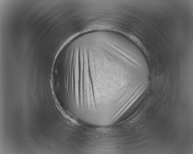 X0000052930904200507292349