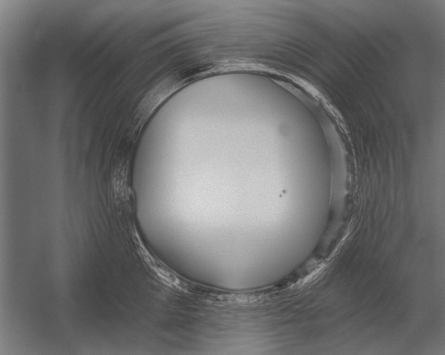 X0000052930905200507292349