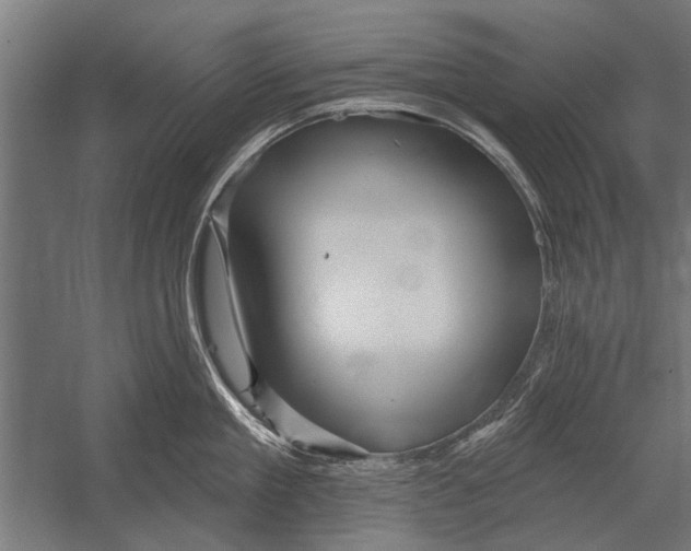 X0000052930909200507292349