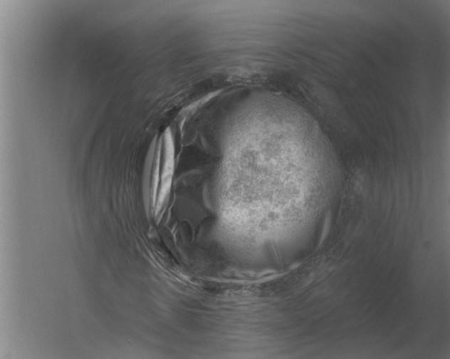 X0000052930914200507292348