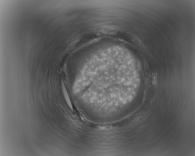 X0000052930915200507292348