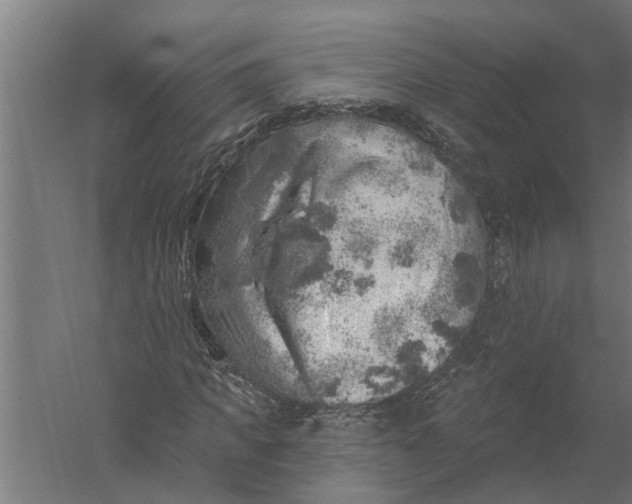 X0000052930917200507292348