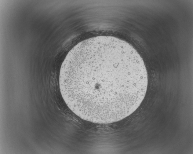 X0000052930918200507292348