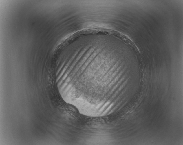 X0000052930919200507292348