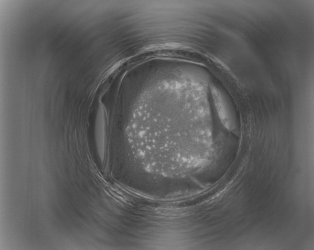 X0000052930921200507292348