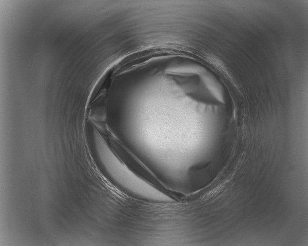 X0000052930924200507292348