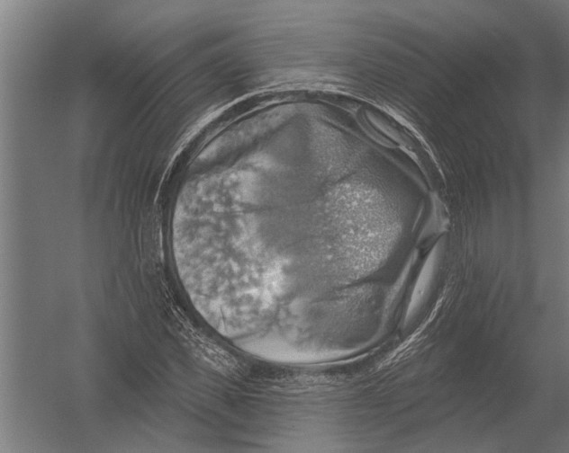 X0000052930925200507292348