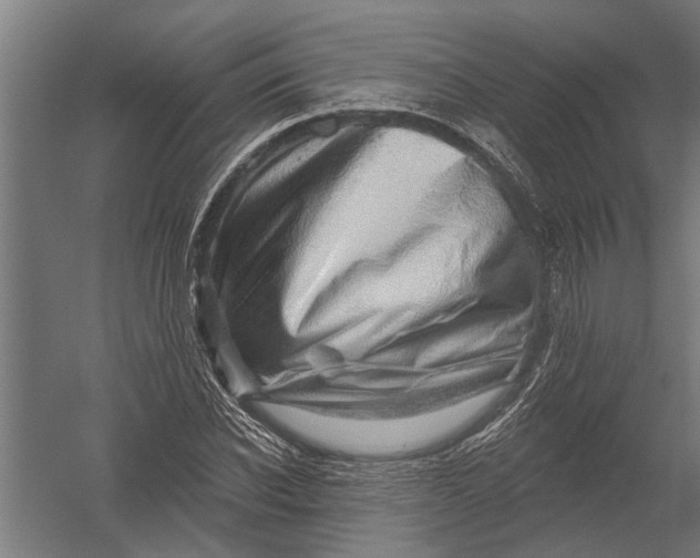 X0000052930926200507292348