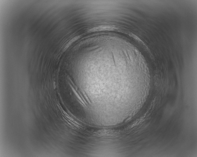 X0000052930929200507292348