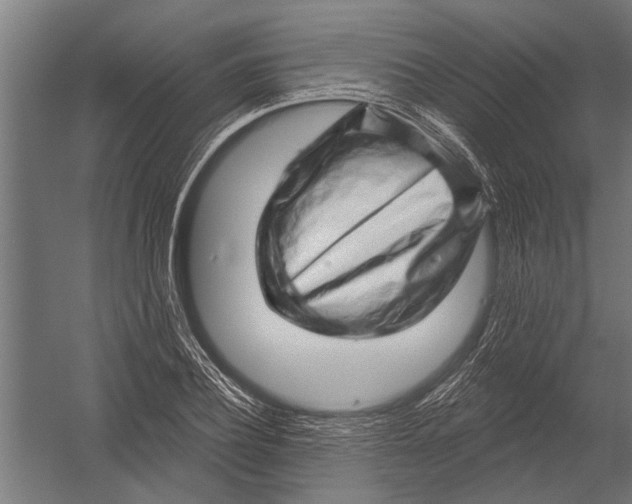 X0000052930932200507292348