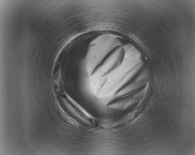 X0000052930934200507292348