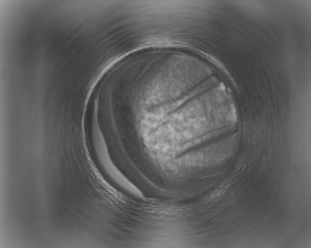 X0000052930935200507292348