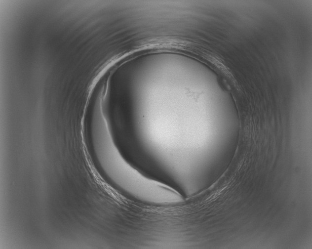 X0000052930936200507292348