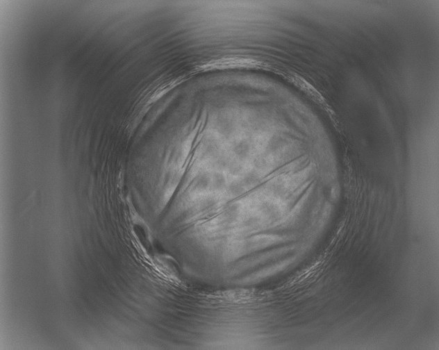 X0000052930937200507292348