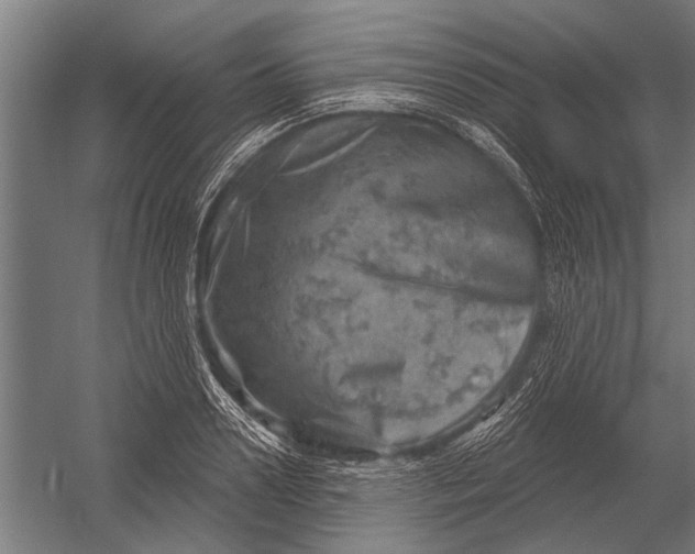 X0000052930938200507292348