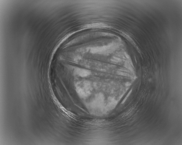 X0000052930939200507292348