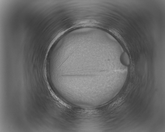 X0000052930941200507292348