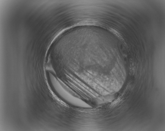 X0000052930942200507292348