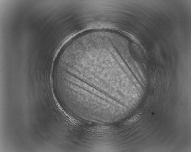 X0000052930943200507292348