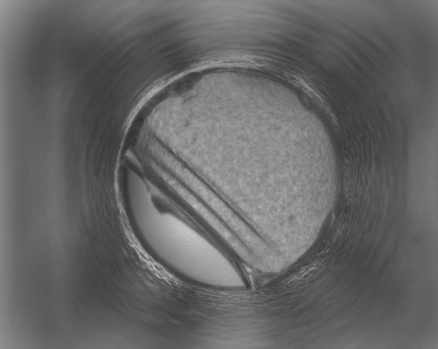 X0000052930944200507292348