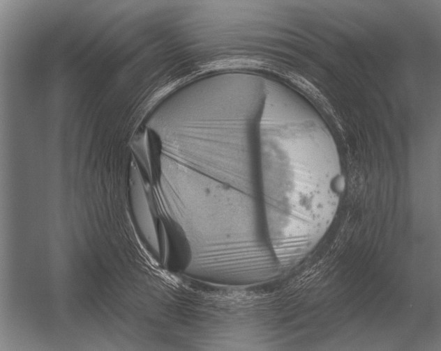 X0000052930945200507292348